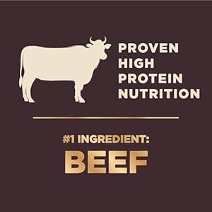 Wellness CORE+ Grained Dry Canine Meals, Beef & Barley Recipe, 4 Pound Bag