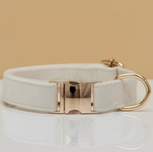 Elegante collare per cani in velluto con fibbia in metallo dorato, di alta qualità, comodo e regolabile, design elegante in diversi colori e dimensioni (23-60 cm) (bianco, L = circonferenza 36-60 cm)