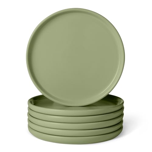 Amazon Basics Glasierte Steingut-Vorspeisenteller, 6-Teiliges Set, 17cml, Mikrowellen- und Spülmaschinenfest, Olivgrün