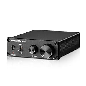 Aiyima A1001 Wzmacniacz Hi-Fi 100 W