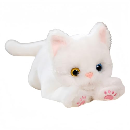 ALIVTAII L̂ʂݑTCY̔L̂ʂݕLN^[̖Dݎq̖̕tYl`菜av[g (L) [sAi]