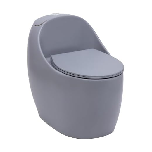 Pingoo.casa - Vaso Sanitário Privada Monobloco Caixa Acoplada Aquarela - Cinza