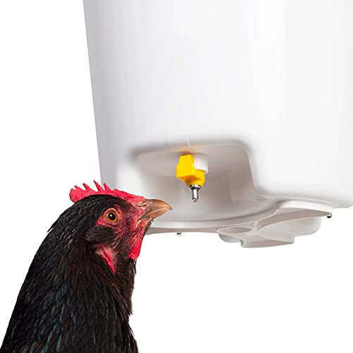Bebedero para Gallinas con Chupetes - Capacidad 12 litros - Bebedero con 3 Tetillas para Aves de Corral - Incluye Cuerda y Gancho para Colgar