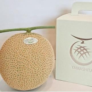[9月末までの特別寄附額]静岡温室メロン M玉約1.4kg×2玉 最高級のマスクメロン 山下メロン園 高級果実店に仕入るほどの自信のあるメロン ギフト メロン めろん 箱詰め フルーツ 果物 産地直送 甘いメロン 糖度 青肉 高級 百貨店