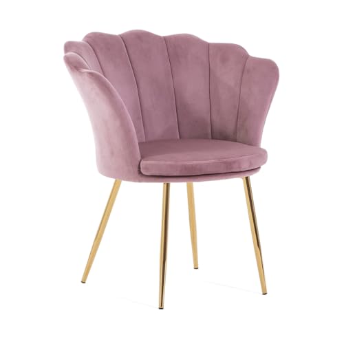 SIEDITI FUORI E DENTRO Poltroncina imbottita con schienale a conchiglia in velluto con gambe cromate e cuscino, poltrona da salotto, camera da letto e sala da pranzo Shelly (Gambe Oro, Velluto Rosa)