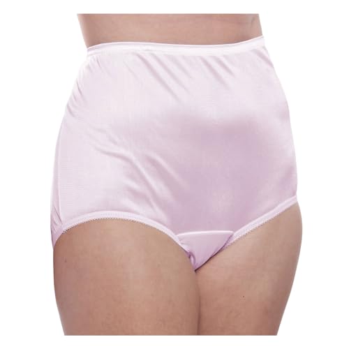 Image of Teri Women's 331 Plain Jane Classic Nylon Silky-Smooth Lightweight Breathable Full Coverage Brief Panty - 4 Pack