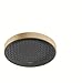 Produktbild hansgrohe Duschkopf Regendusche Rainfinity (360mm, rund, 1 Strahlart) Brushed Bronze