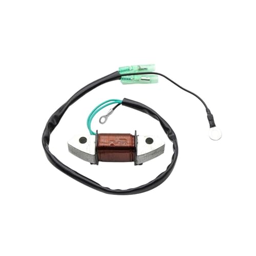 Bobine de stator 66T-85533-00 éclairage hors-bord E40X 40M WT L 40ch