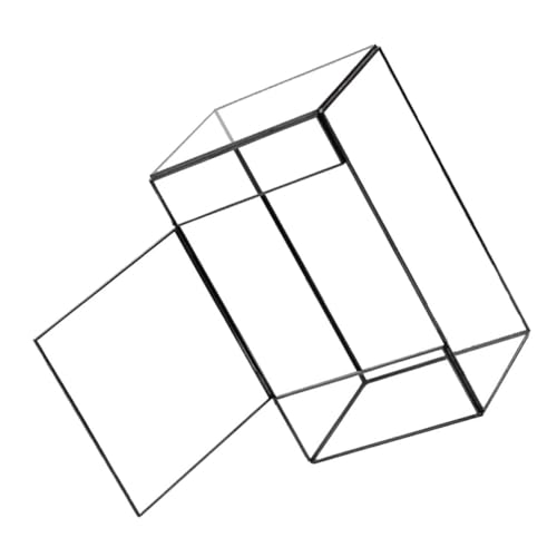 Toyvian Vase pour Terrarium Conteneur Transparent pour Micro Support de Plantes pour Décoration de Table Intérieur