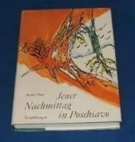 Jener Nachmittag in Poschiavo: Erzählungen 3724503407 Book Cover