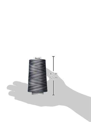 Signature Thread Machine Quilting Thread, 40Wt/3000 Yd, Variegated Smokey Blues #TOP1