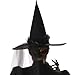 InCharacter Wretched Witch Adult Costume, Large