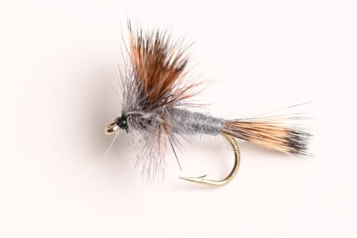 Gray Wulff Dry Fly, 6-Pack (12#)