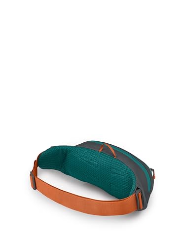 Osprey Daylite Waist Pack