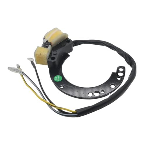 Stator Hors-Bord pour Résoudre les Problèmes d'Allumage Moteur 2 Temps Sierra 18-5864
