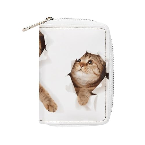 [FoWintea] J[hP[X ʔ ˂ L L J[h Zz NWbgJ[hP[X PUU[ K ~jz ht@C RCP[X J[hz_[ XL~Oh~ e Y fB[X ی/Ƌ/LbVJ[h