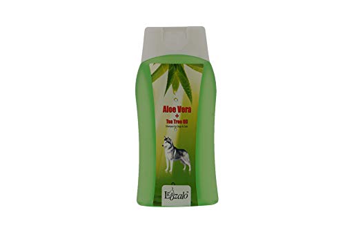 Lozalo Aloe Vera & Tea Tree Oil Pet Care Shampoo for Dogs & Cats, 200 ml