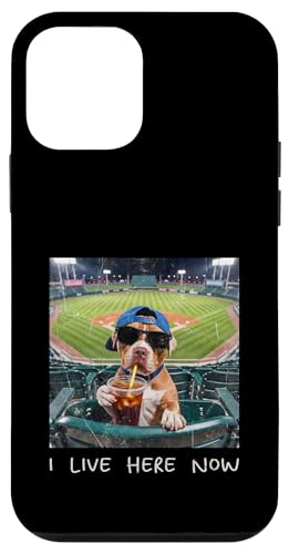 I Live Here Now Funny Pitbull Funny Baseball Field Meme �X�}�z�P�[�X iPhone 12 mini �p