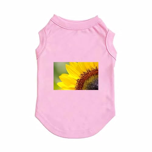 [XANPYO] ybg ̕ Vc 5XL t  sN   ^ ^    ʋC Lk _炩  xXg L q ^p ybg vI[o[   їh~ ʐ^Be