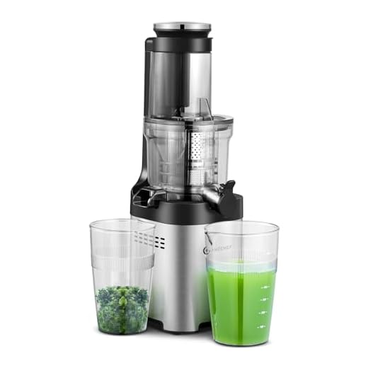 AMZCHEF Extracteur de Jus de Fruits et Légumes Slow Juicer Presse à Froid Machine avec moteur silencieux/tasse à jus/brosse de nettoyage/adapté à tous les Fruits et Légumes (Gris)