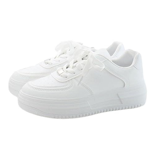 [[iC]  tbg\[ [Jbg Xj[J[ fB[X JWA ₷ (le-520) zCg MTCY