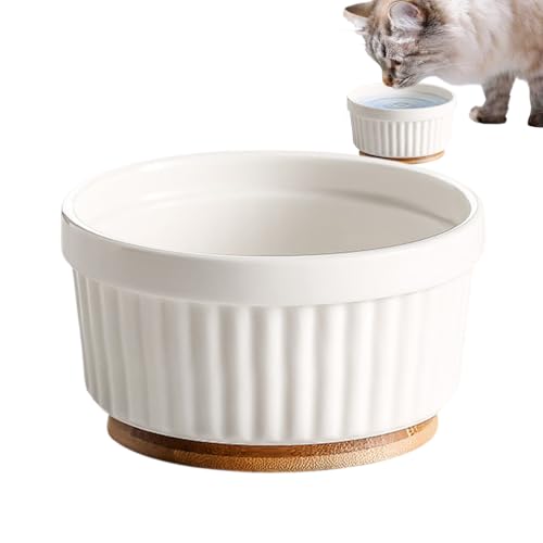 犬用 加熱 水ボウル - 恒温陶器子犬用水容器,タット式 猫用 ボウル,ペットオーナー動物保護施設獣医クリニック寒冷地冬季屋外用