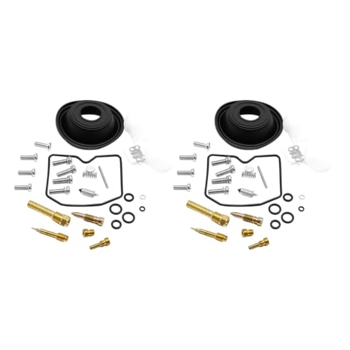 Kit réparation carburateur ER5 Kawasaki pour éliminer les fuites d'essence et les ratés