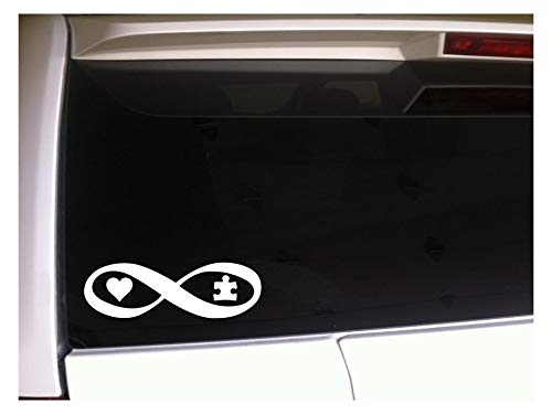 Lplpol Autism Infinity Car Decal, Funny Bumper Sticker, 6 Inch Vinyl Decal for Truck Van Wall Laptop Window Bottle