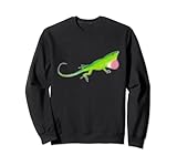 Photo Gallery anolo verde marrone anolis felpa Photo Gallery anolo verde marrone anolis felpa