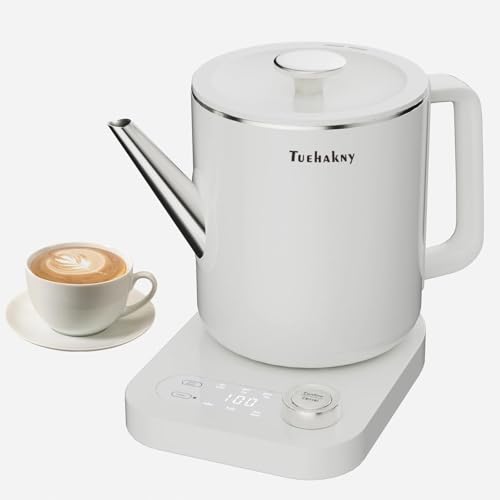 Bouilloire avec Sélection Température 1,0L Intelligent 6-en-1, Acier Inoxydable 304-800W Chauffe Rapide, Fonction Maintien au Chaud Automatique, Minuterie...