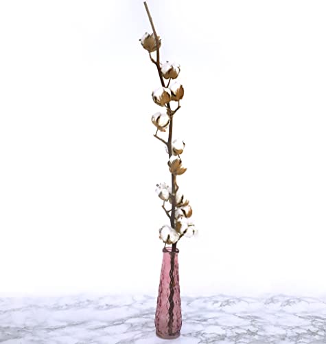 Echte Baumwolle Zweige - 80cm extra lang - 9 bis 11 Blüten Köpfe je Baumwollzweig - Trockenblumen Deko - Boho Blumen Dekoration mit Stil für Vase (3) Cover