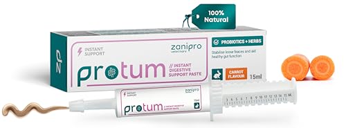 How long can a rabbit live with e cuniculi How long can a rabbit live with e cuniculi