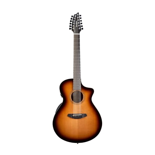 Breedlove I[KjbN \v RT[g GbWo[Xg 12 XgO CE