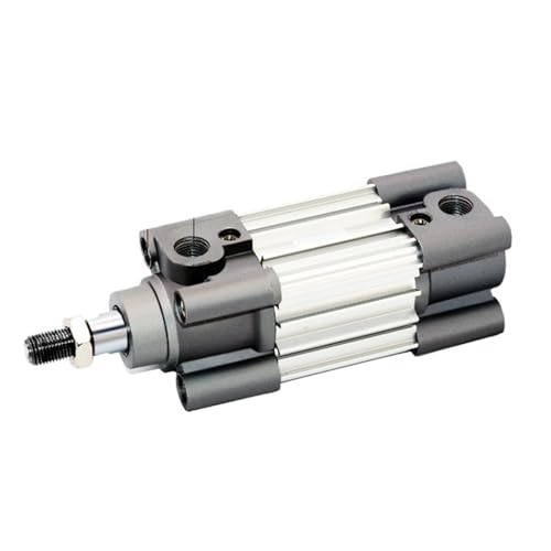 Vérin pneumatique standard CP96SDB piston double effet alésage 100mm course 100