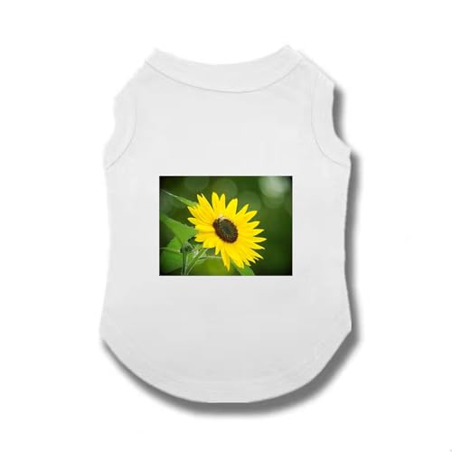 [XANPYO] ybg ybg vI[o[   їh~ ʐ^Be ̕ Vc t    ^ ^  XL    ʋC Lk _炩  xXg L q ^p