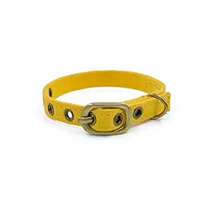 PetWale Cat Collar Yellow