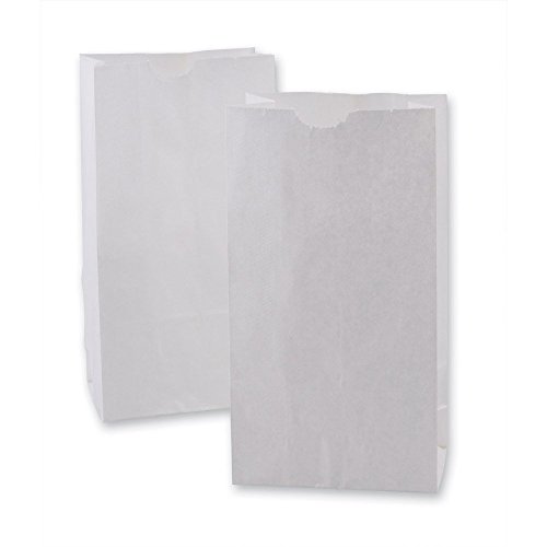 Green Direct Perfect White Durable Paper Lunch Bag Size Small for All Ages Pack of 50