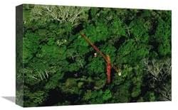 12 x 18 in. Rainforest Canopy Research Crane STRI, Panama Art Print - Mark Moffett