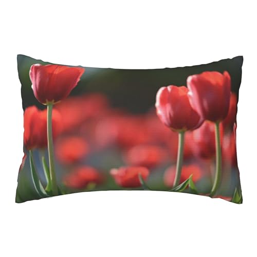 ʃvbVJo[A_炩ȁA20x30C`Axbh\t@ɍœKiž̉ŐԂ`[bv̑f炵Rj