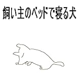 Animal Song