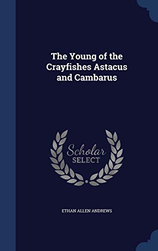 The Young of the Crayfishes Astacus and Cambarus 129688578X Book Cover