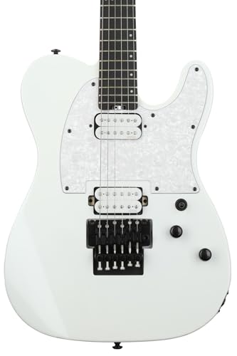 Amazon | Schecter Sun Valley スーパーシュレッダー PT FR