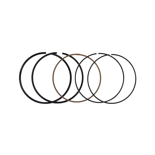 �o�C�N�p 77mm 77.25mm 77.5mm 77.75mm 78mm STD +100mm �s�X�g�������O�L�b�g WR250F YZ250F�p(1 Set 77mm)