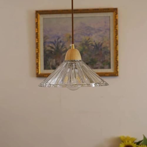 Lampes suspendues en verre réglables E26 pour éclairage de chevet et restaurant rétro