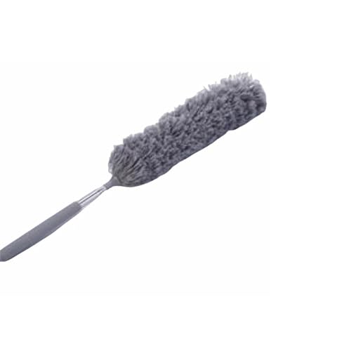 Lk\ قƂ Lk 2Zbg zR ͂ nfBbv | 􂢉\ Ȃ\ | N[i[ Lт 􂦂 ֗ V// 88cm܂ ƒp Ɩp ԑ| |