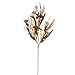 Vickerman 695470-31