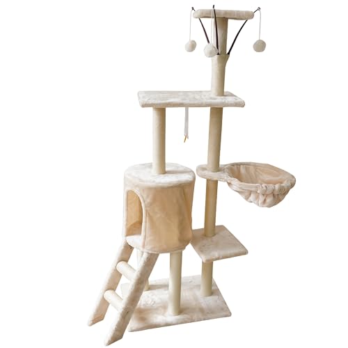 Andula Lbg^[ ؐ L^[W]䐘uȃXy[X ||L炵  FD X 芴 ܂Ƃ|[ lC ^s ƋQh~ (138[gł(01021153))