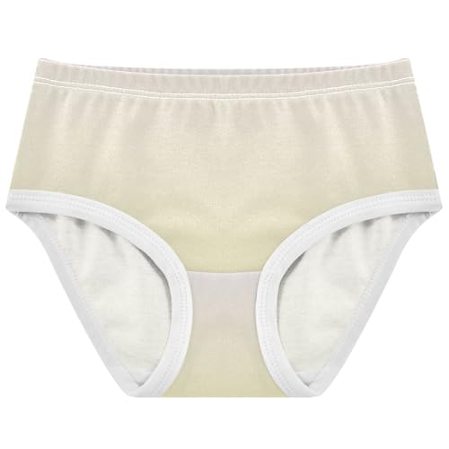 Joisal Magnolia Pale Goldenrod Gradient Little Girl Panties Girls Underwear Toddler Cotton Fun Briefs Kids Undies 2t