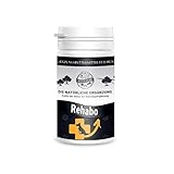AXPro es una proteína de insecto hipoalergénica cuidadosamente hidrolizada que hace que Bellfor Rehabo sea particularmente apetecible para su perro y por lo tanto contribuye significativamente a la aceptación óptima de la preparación natural
