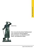  Vom monostrukturierten Stahlstandort zum modernen Industriegebiet: Dokumentation zum Modellprojekt Stahl- und Walzwerk Riesa (Transformationsprozesse: ... in den neuen Bundesländern (KSPW), 9, Band 9)
